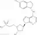 Fig. 43 - INHIBITORS OF E1 ACTIVATING ENZYMES