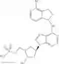 Fig. 81 - INHIBITORS OF E1 ACTIVATING ENZYMES