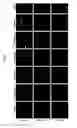 Fig. 06 - Directed differentiation of oligodendrocyte precursor cells to a myelinating cell fate
