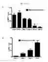 Fig. 26 - Directed differentiation of oligodendrocyte precursor cells to a myelinating cell fate