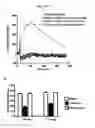 Fig. 35 - Directed differentiation of oligodendrocyte precursor cells to a myelinating cell fate