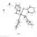 Fig. 02 - PLATINUM COMPLEXES AS ANTICANCER AGENTS