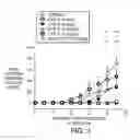Fig. 04 - Compositions and methods for the production of pyrimidine and pyridine compounds with BTK inhibitory activity