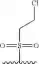 Fig. 37 - Compositions and methods for the production of pyrimidine and pyridine compounds with BTK inhibitory activity
