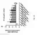 Fig. 03 - Therapeutic combinations of curcuminoids and flavonoids