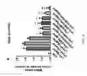 Fig. 07 - Therapeutic combinations of curcuminoids and flavonoids