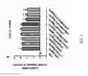 Fig. 09 - Therapeutic combinations of curcuminoids and flavonoids