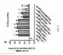 Fig. 10 - Therapeutic combinations of curcuminoids and flavonoids