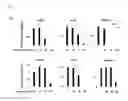Fig. 07 - Pharmaceutical composition and uses thereof