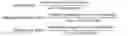 Fig. 03 - Modified starch material of biocompatible hemostasis