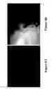 Fig. 09 - METHODS AND COMPOSITIONS FOR DISRUPTING BIOFILM UTILIZING CHITOSAN-DERIVATIVE COMPOUNDS