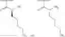 Fig. 115 - METHODS AND COMPOSITIONS FOR DISRUPTING BIOFILM UTILIZING CHITOSAN-DERIVATIVE COMPOUNDS