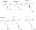 Fig. 119 - METHODS AND COMPOSITIONS FOR DISRUPTING BIOFILM UTILIZING CHITOSAN-DERIVATIVE COMPOUNDS