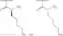 Fig. 129 - METHODS AND COMPOSITIONS FOR DISRUPTING BIOFILM UTILIZING CHITOSAN-DERIVATIVE COMPOUNDS