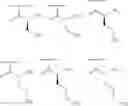 Fig. 207 - METHODS AND COMPOSITIONS FOR DISRUPTING BIOFILM UTILIZING CHITOSAN-DERIVATIVE COMPOUNDS