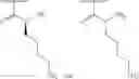 Fig. 217 - METHODS AND COMPOSITIONS FOR DISRUPTING BIOFILM UTILIZING CHITOSAN-DERIVATIVE COMPOUNDS