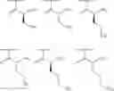 Fig. 42 - METHODS AND COMPOSITIONS FOR DISRUPTING BIOFILM UTILIZING CHITOSAN-DERIVATIVE COMPOUNDS