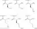 Fig. 53 - METHODS AND COMPOSITIONS FOR DISRUPTING BIOFILM UTILIZING CHITOSAN-DERIVATIVE COMPOUNDS