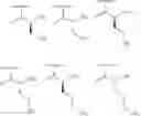 Fig. 86 - METHODS AND COMPOSITIONS FOR DISRUPTING BIOFILM UTILIZING CHITOSAN-DERIVATIVE COMPOUNDS