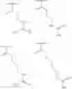 Fig. 89 - METHODS AND COMPOSITIONS FOR DISRUPTING BIOFILM UTILIZING CHITOSAN-DERIVATIVE COMPOUNDS