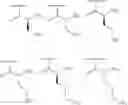 Fig. 97 - METHODS AND COMPOSITIONS FOR DISRUPTING BIOFILM UTILIZING CHITOSAN-DERIVATIVE COMPOUNDS