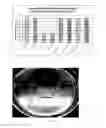 Fig. 10 - TREATMENT OF VAGINITIS