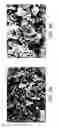 Fig. 04 - Method of making nanocomposites of metal oxide and reduced graphene oxide and use for cancer treatment