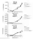 Fig. 08 - Methods of Preparing T Cells for T Cell Therapy