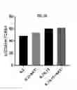 Fig. 14 - Methods of Preparing T Cells for T Cell Therapy