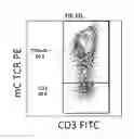 Fig. 16 - Methods of Preparing T Cells for T Cell Therapy