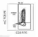 Fig. 18 - Methods of Preparing T Cells for T Cell Therapy