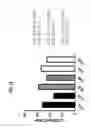 Fig. 19 - Methods of Preparing T Cells for T Cell Therapy