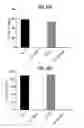Fig. 20 - Methods of Preparing T Cells for T Cell Therapy