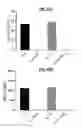 Fig. 21 - Methods of Preparing T Cells for T Cell Therapy
