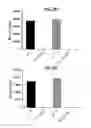 Fig. 22 - Methods of Preparing T Cells for T Cell Therapy