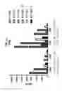 Fig. 24 - Methods of Preparing T Cells for T Cell Therapy
