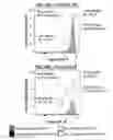 Fig. 29 - Methods of Preparing T Cells for T Cell Therapy