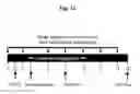 Fig. 02 - COMPOSITION FOR TREATING ISCHEMIC DISEASES OR NEUROINFLAMMATORY DISEASES CONTAINING NEURAL PROGENITOR CELLS OR SECRETOME THEREOF AS ACTIVE INGREDIENT