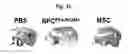 Fig. 04 - COMPOSITION FOR TREATING ISCHEMIC DISEASES OR NEUROINFLAMMATORY DISEASES CONTAINING NEURAL PROGENITOR CELLS OR SECRETOME THEREOF AS ACTIVE INGREDIENT