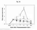 Fig. 06 - COMPOSITION FOR TREATING ISCHEMIC DISEASES OR NEUROINFLAMMATORY DISEASES CONTAINING NEURAL PROGENITOR CELLS OR SECRETOME THEREOF AS ACTIVE INGREDIENT