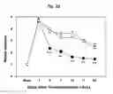 Fig. 08 - COMPOSITION FOR TREATING ISCHEMIC DISEASES OR NEUROINFLAMMATORY DISEASES CONTAINING NEURAL PROGENITOR CELLS OR SECRETOME THEREOF AS ACTIVE INGREDIENT