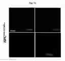 Fig. 13 - COMPOSITION FOR TREATING ISCHEMIC DISEASES OR NEUROINFLAMMATORY DISEASES CONTAINING NEURAL PROGENITOR CELLS OR SECRETOME THEREOF AS ACTIVE INGREDIENT
