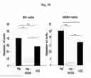 Fig. 20 - COMPOSITION FOR TREATING ISCHEMIC DISEASES OR NEUROINFLAMMATORY DISEASES CONTAINING NEURAL PROGENITOR CELLS OR SECRETOME THEREOF AS ACTIVE INGREDIENT