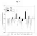 Fig. 25 - COMPOSITION FOR TREATING ISCHEMIC DISEASES OR NEUROINFLAMMATORY DISEASES CONTAINING NEURAL PROGENITOR CELLS OR SECRETOME THEREOF AS ACTIVE INGREDIENT