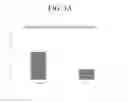 Fig. 04 - Acellular Regenerative Products and Methods of Their Manufacture