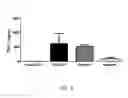 Fig. 06 - Umbilical tissue compositions and methods of use