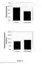 Fig. 08 - Umbilical tissue compositions and methods of use