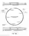 Fig. 10 - Bacteria engineered to treat a disease or disorder