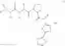 Fig. 16 - INHIBITORS OF IAP