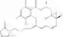 Fig. 11 - TARGETED THERAPEUTICS